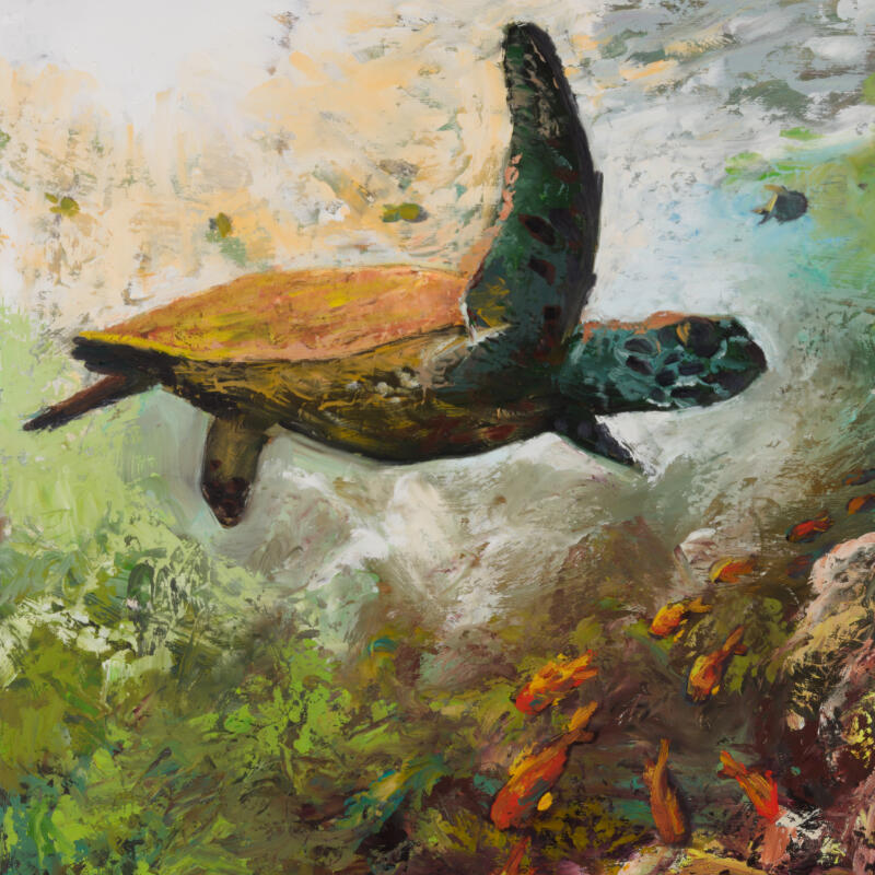 Swimming Sea Turtle, Oil on Board, 24" x 24"
